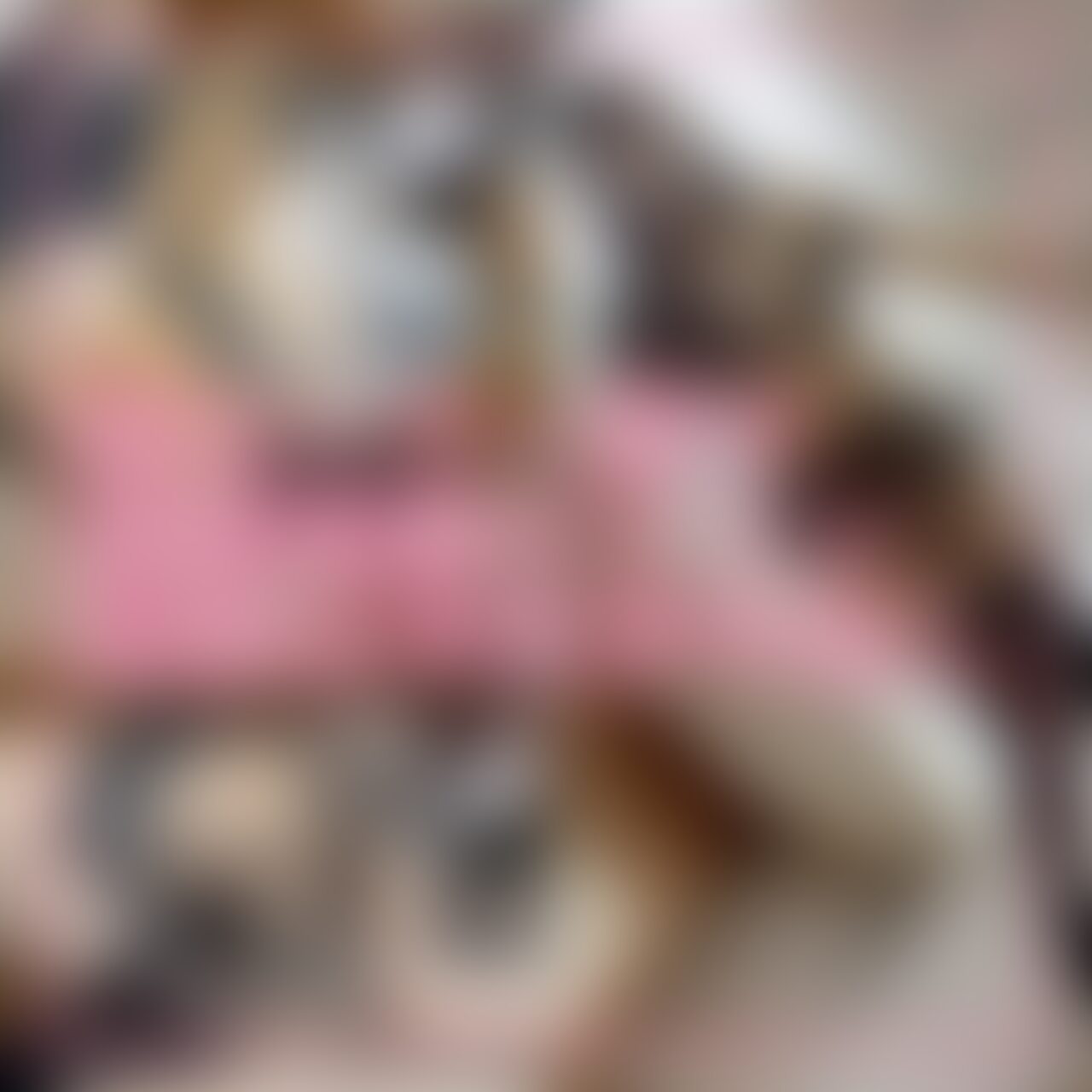 いいね♡ を押していただけるとめちゃくちゃ嬉しいです❣️
お待たせしました❗️ 新作フル動画投稿しました❗️
最近やっと涼しくなってきましたね❗️
もうすぐ秋ですね🍁 ハルと一緒に紅葉をたくさん見に行きたいな〜❗️
今回は久しぶりのコスプレです💕
めちゃくちゃエロい逆セーラー服を私が着てみました❗️
ハルが一目見てすぐにフル勃起になっちゃって(笑)
そんなエロい格好のまま、もっとエロいことたくさんしちゃいました👀💕
窓際でオナニーしたり、ピストンマシーンでたっぷりいじめられたり…
ハルが「見てるだけで5回くらいイケる」って興奮してました(笑)
めっちゃエロいので見どころ(抜きどころ)たくさんです!
たっぷり楽しんでくださいね‼️
プランのご登録🌟いつもいいね💓やコメントありがとうございます🥹
すごく励みになってます❣️ 本当に嬉しいです💓
いいねは評価にも直結するので、ぜひたくさん押していただけると嬉しいです💓
これからも私とハルの濃厚ハメ撮りをどんどんアップしていくので、
ずっと一緒に楽しんでくださいね…♡ (2/2)