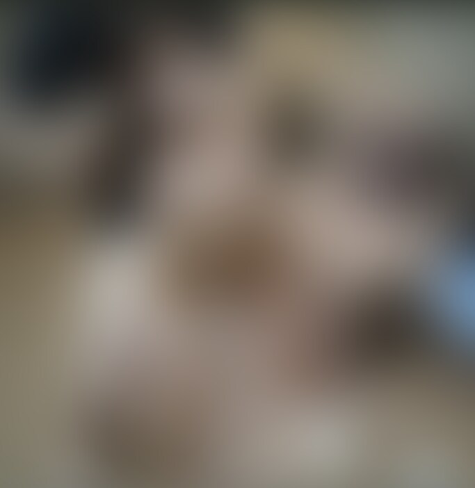【独占/NTR】ウエディングドレス採寸のために来た若妻だまして〇出しした件Vol.2 (2/2)