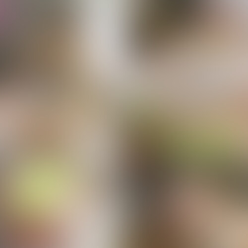 今までたくさんのおまんこ大好き女子たちと乱交をしてきたアニキが選ぶ、美チクビメスまんこちゃんリターンズ!!
乳首が最高過ぎる!!みーちゃん 復 活 !!
本編はこちらから↓
https://myfans.jp/posts/34ae3c25-52a2-47d6-a2cc-cf74a542d94c
無料で見るならこちら↓
https://myfans.jp/posts/2e3b75fd-2d0e-49de-83c7-c6f9f9c3a9fe
ぷっくりピンクの神乳首!超エッッッロ!!!
乳首好きによる、乳首好きのための、乳首動画です!!お楽しみくださいませ!!
イキまくってさらに大きく、膨らみ、固く尖り勃起する乳首の変化も最高すぎるううううっ!
中出しされるとさらに乳首勃起するんすね!!感動です!!中出しされてぜっちょう!ぜっちょう!!!!
~各種プランの案内~
【全部見れる】🐱にゃんすたプラン【超お得】・・・中出しナックルズ・超時空夢幻カメコ・スタミナ二郎
全てのアカウントの全ての動画が閲覧可能💓
さまざまなジャンルでシコリライフのQOLを上げていきたい方にお勧め!
📸超時空夢幻カメコプラン・・・コスプレに特化したプラン!秘密の個人撮影会の様子を公開します。
こちらのプランに参加することで『超時空カメコ』作品のみ見放題で見ることが出来ます。
🤝中出しナックルズαプラン・・・乱交!乱交!乱交!乱交といえばKEN率いる愉快な仲間が作り上げる乱交ハメ撮りクリエイター集団の集大成!
こちらのプランに参加することで『中出しナックルズα』作品のみ見放題でみることが出来ます。
🍜スタミナ二郎プラン・・・ナンパ・いちゃいちゃ・話題のSNSの人を中心にハメ撮り動画を公開中!
こちらのプランに参加することで『スタミナ二郎』作品のみ見放題でみることが出来ます。
🐟無料えろちゅーる🐟・・・最長20分の動画が無料で見れます(/・ω・)/
とりあえずこのプランに入って様子を伺うもヨシ (2/2)