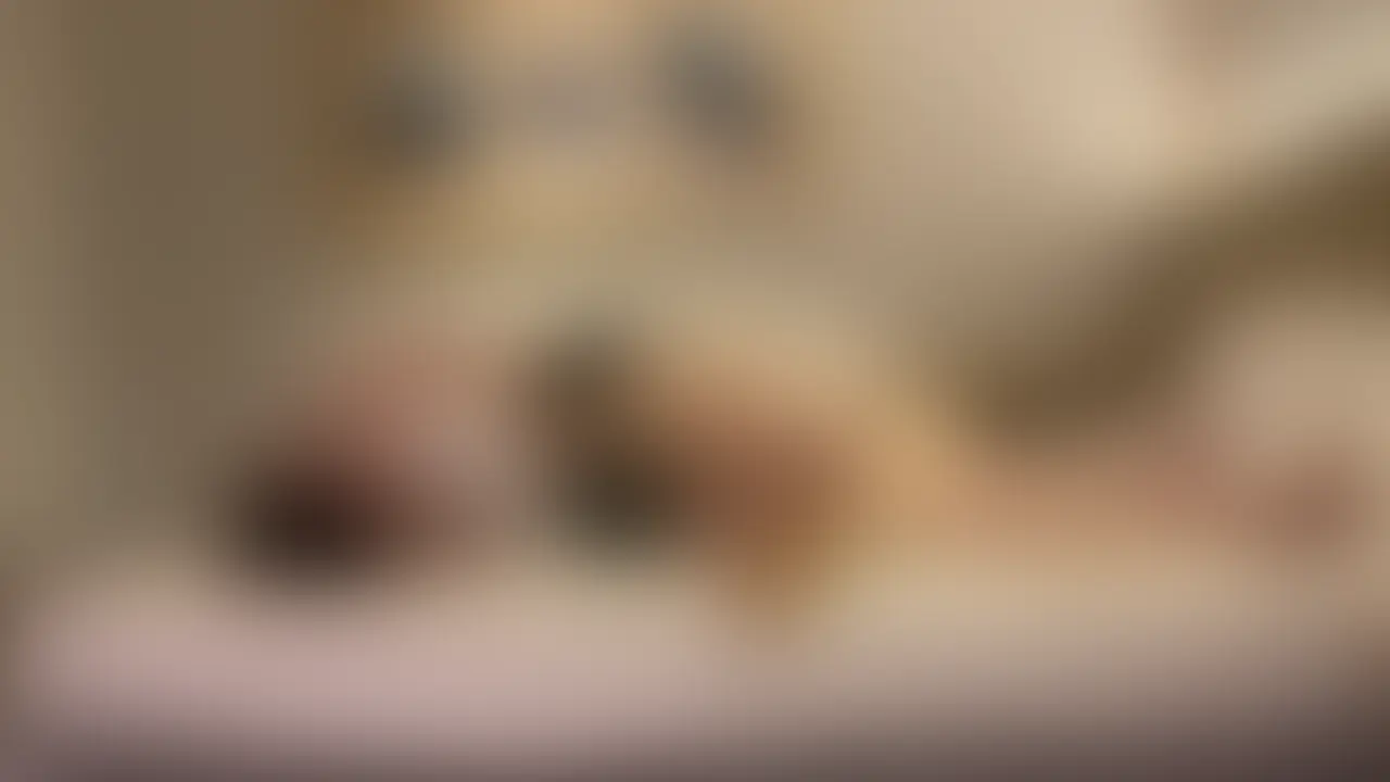 ☆りほ1-2☆

夜のリゾホに来てくれたのは、片手で持ち上げれそうなほどﾐﾆﾏﾑな禁断のケルビム(智天使)りほちゃん。しゃべり方、笑い方から育ちの良さがわかる箱入りな女の子。横に添い寝してるだけで、フェロモニアスな香りに耐え切れず僕は過去最短でディープキッスを始めてしまいます。小さい身体なのに、細い華奢な脚、ボディークリームでしっかりメンテナンスしているのでしょう。もっちもちです。はぁぁぁぁぁん。白パンティを貧らずにはおれません。首筋、耳も次々に性感帯化していきます。何とも言えない切ない声で喘ぐりほちゃん・・・。声を聴いてるだけで、僕の股間ヒルズが核融合し始めます。前戯で一杯イカセちゃう。お天天欲しいって言わせちゃう。これから入るお天天を見せつけるようにフェラさせます。僕はフェラ自体あまり好きじゃないですが、フェラさせるという概念は大好きです。完全にトランス手前になってしまったりほちゃんに、当たり前のようにお天天を挿入していきます。すぐに子宮に届いてしまう小さいオーパーツ。唯一無二のりほの名器を様々な角度で突き上げていきます。初対面のおじさんの生お天天で中イキさせられ、ずっとラブミルクを垂らすりほちゃん。僕は彼女を守り続けます。 (2/2)