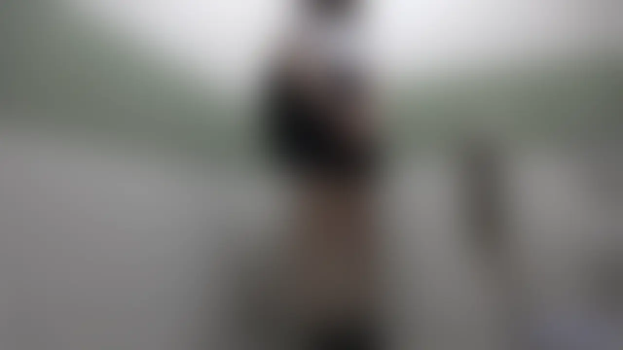 【夏盛り女子】見せるのはいいけど触るのを嫌がる可愛い女の子に少し強引にイラマチオ＆生中出しでお仕置きｗ

スタイルのいい可愛らしい女の子です！

具の中はキレイなピンク色でテカっててエロい～～ｗｗ

イキそうだと言うと「ダメ・・ダメ・・ダメ」と言うだけなのでそのまま膣奥にたっぷりと中出し！


★再生時間：17分20秒

+:-:+:-:+:+:-:+:-:+:+:-:+:-:+:+:-:+:-:+:+:-:+:-:+:+:-:+:-:+:+:-:+:-:+:+:-:+:-:+:+:-:

☆シチュエーション・コスプレ動画であり全てフィクションです。
☆出演している全てのモデルは身分証にて成人であることを確認済みです。
☆モデルとの契約の上で撮影・販売しております。
☆日本国の各法令及び利用規約を遵守した作品です
☆第三者への譲渡、販売、頒布、貸与することを禁止いたします。

+:-:+:-:+:+:-:+:-:+:+:-:+:-:+:+:-:+:-:+:+:-:+:-:+:+:-:+:-:+:+:-:+:-:+:+:-:+:-:+:+:-: (2/2)