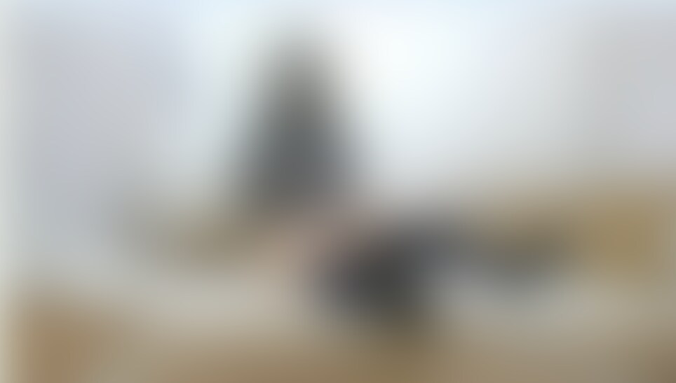段ボールが倒れてきて頭から外れない (2/2)