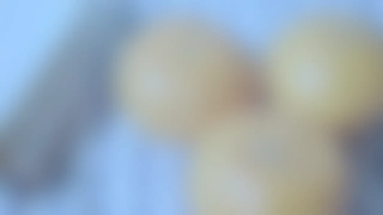 ライトプラン以上向けの動画になります。 (2/2)