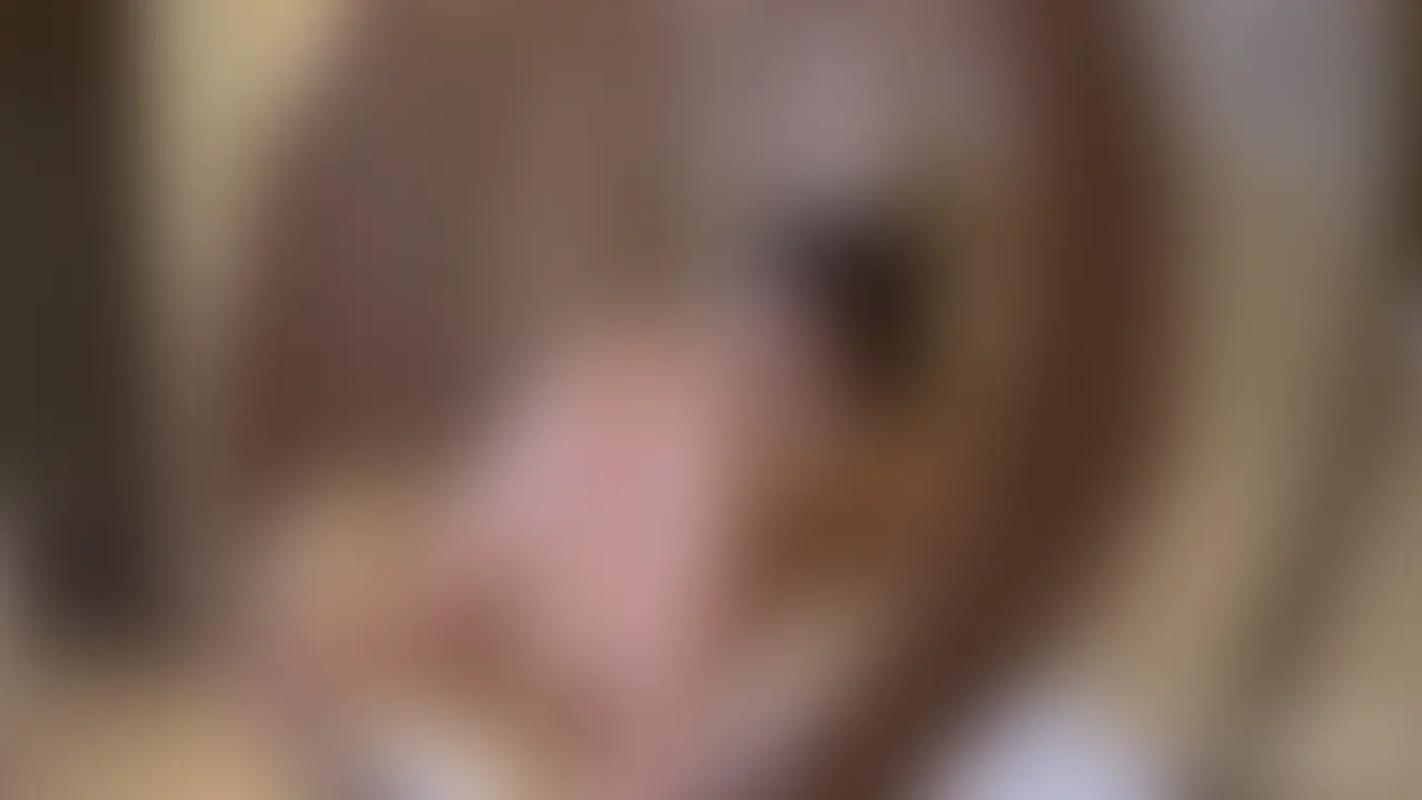 秋田痴女OL/27歳
女子校出身なのに!(だから?)めっちゃエロい秋田美人。ふわふわした女性で普段は会社で真面目に働くOL…ところが実は淫乱痴女で!?野外のの露天風呂でドM女子の膣奥にガン突き!漏れる喘ぎ声、外から見られてたらどうする!?のハラハラな状況で非日常の野外セックスのvol.4🎬🔥 (2/2)