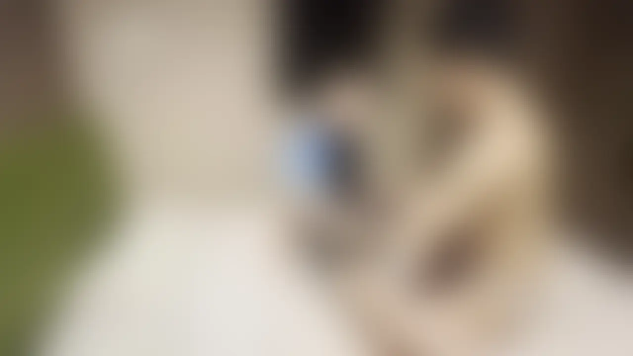 塩顔イケメン体育大生とユニフォームセックス sample 1