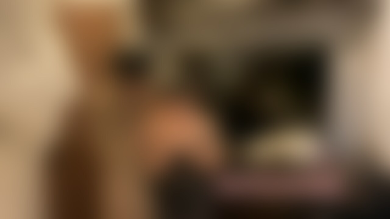【分割販売】第一回NTR動画 上巻
2021年10月16日実施。
はじめて実嫁を寝取らせた動画になります。 (2/2)