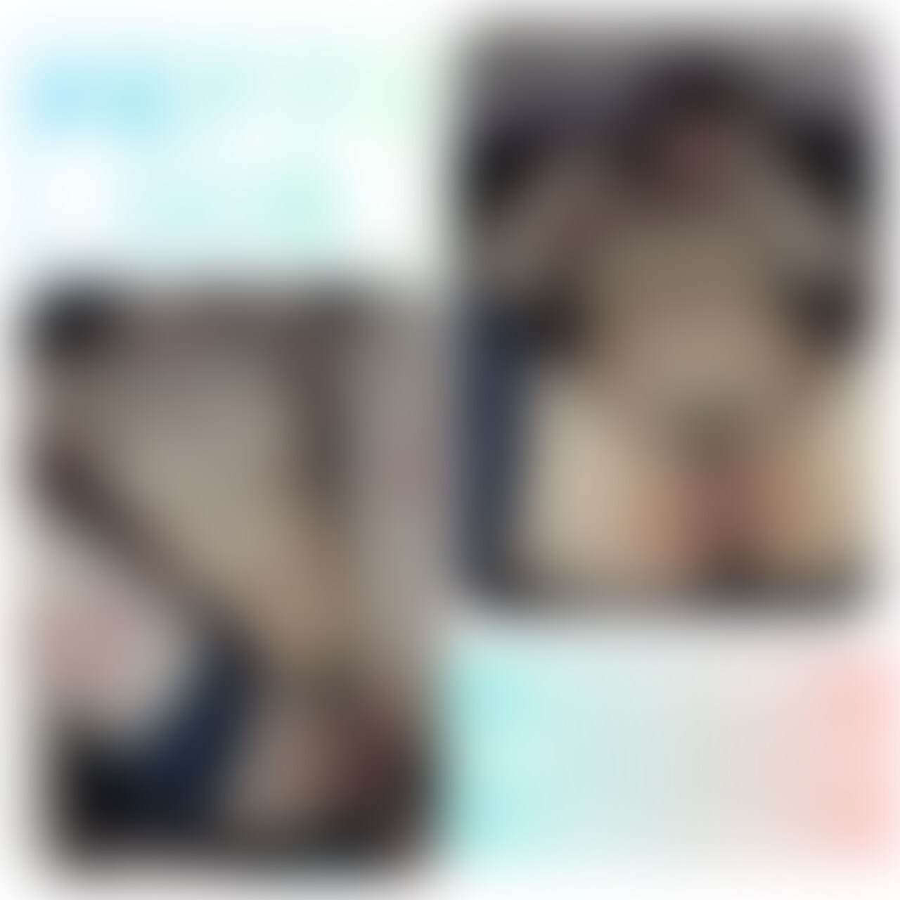 ⁉️ほぼ処女⁉️激シコ〇〇生の未開発オメコに大量NN🏫👩🎓
P活アプリで知り合ったGOHOちゃん👩🎓
素晴らしいオナホスタイルだったので無我夢中で淡々とおかしました🤤
経験が浅いキツキツオメコに大量に生中出し💦💦
孕まないか心配です😅
いい時代になりましたね😆
・知り合った経緯:P活アプリ
・年齢:18
・職業:🧑🎓 (2/2)
