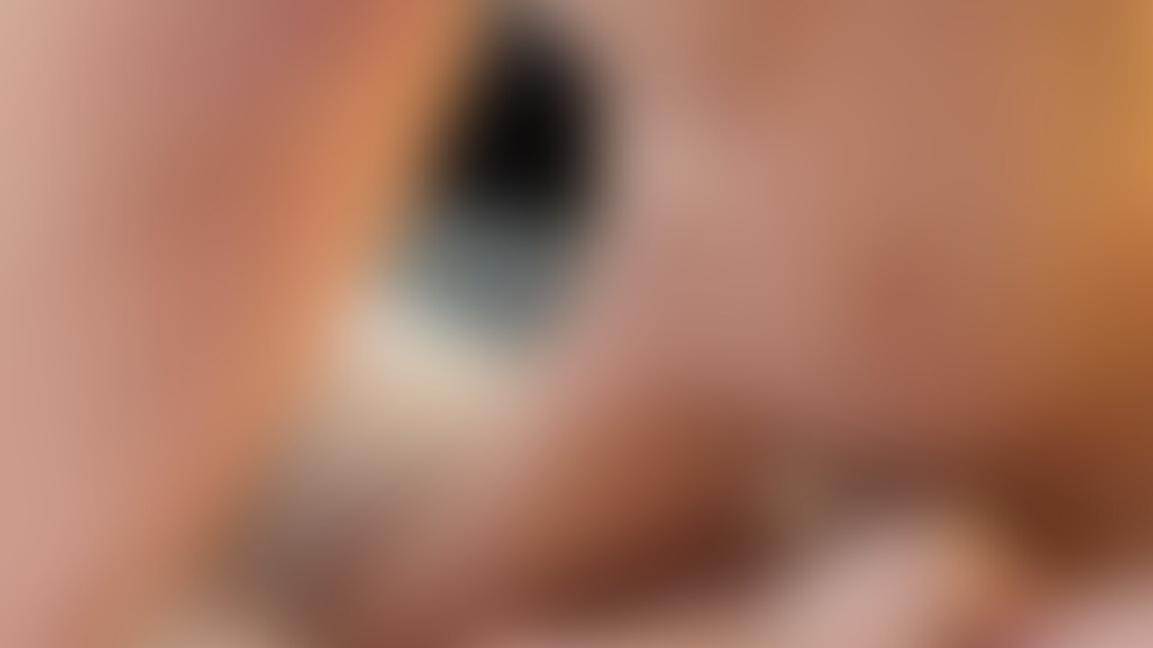 とらの大人気シリーズです🐯 sample 1