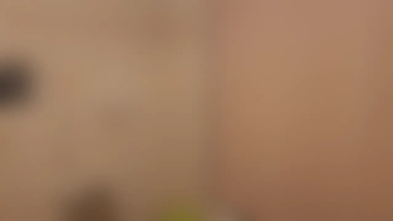 ねるがファンクラブ始めるずっと前からねるのことが大好きで応援してくれてたお兄さんを遠路はるばるご招待してえっちしてきたので、まずは丹精込めてお兄さんの身体を洗いました💕
お顔出しはこちら→ https://mfco.link/CQvSyNMi (2/2)