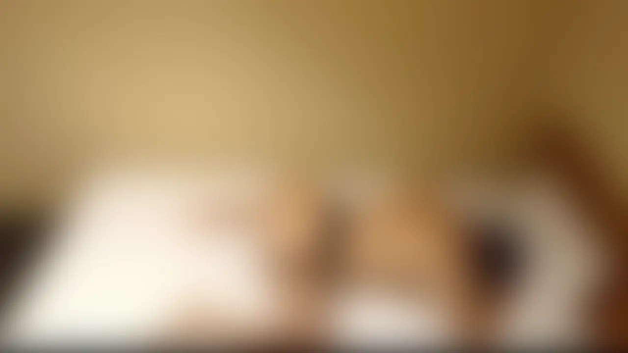 目隠し待機でケツをいじられる狛尾 sample 1