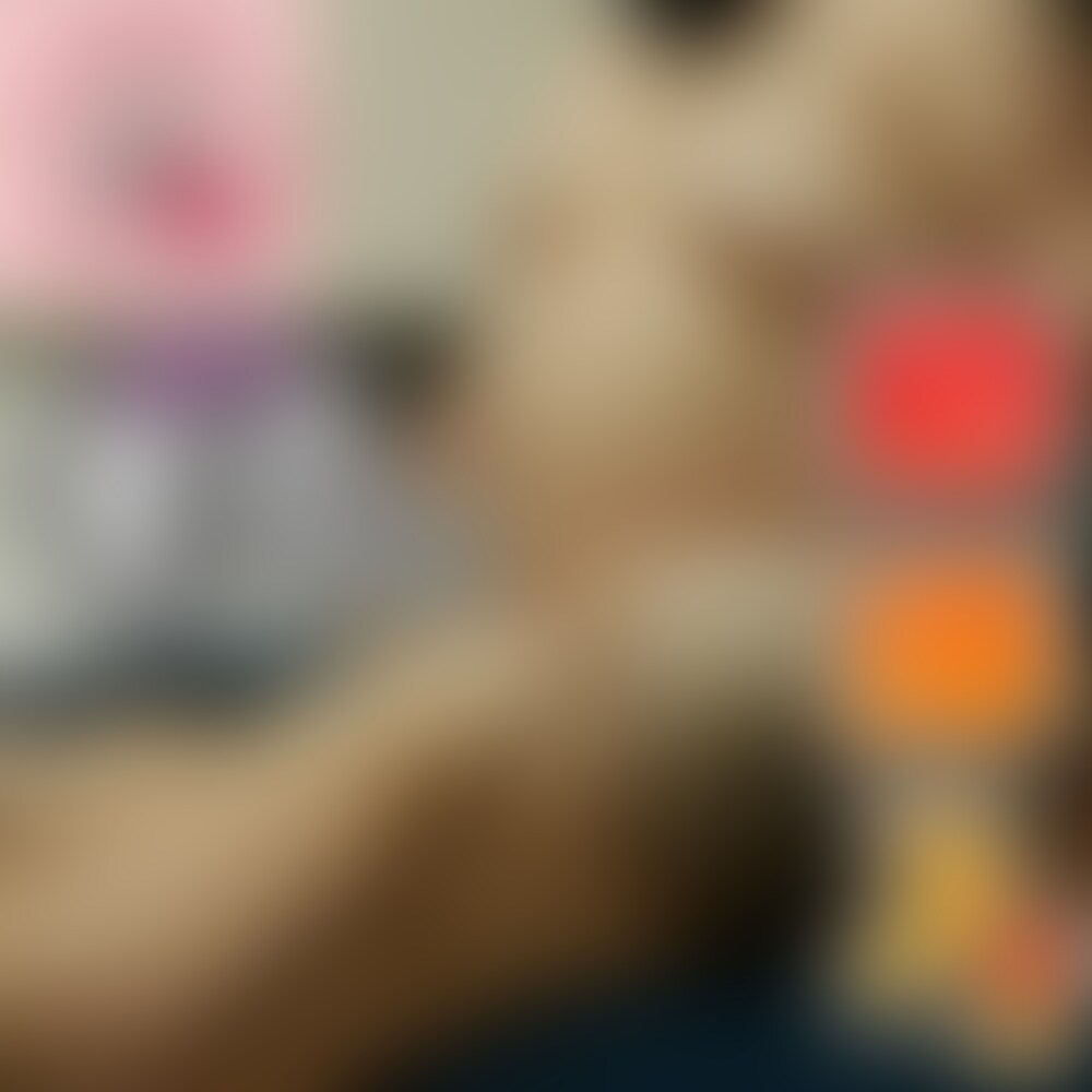 ぽっちゃり超乳のちかちゃんが180㎏の超巨漢デブ男子の童貞を奪っちゃう💓
前回、ちかちゃんにフェラ抜きしてもらった180㎏の超巨漢君!今度は童貞卒業したいと参戦!
ぽっちゃり同士のういういしい大迫力エッチは必見!!
次は君が参加する番かもしれない🐽
童貞さんもやりちんさんもデブ男子、ガチムチ、ゴリマッチョさんはどーんと来い💪
デブ専女子は都市伝説じゃないけど
太ってる男子が騎乗位しかできないっていうのは都市伝説🤪 (2/2)