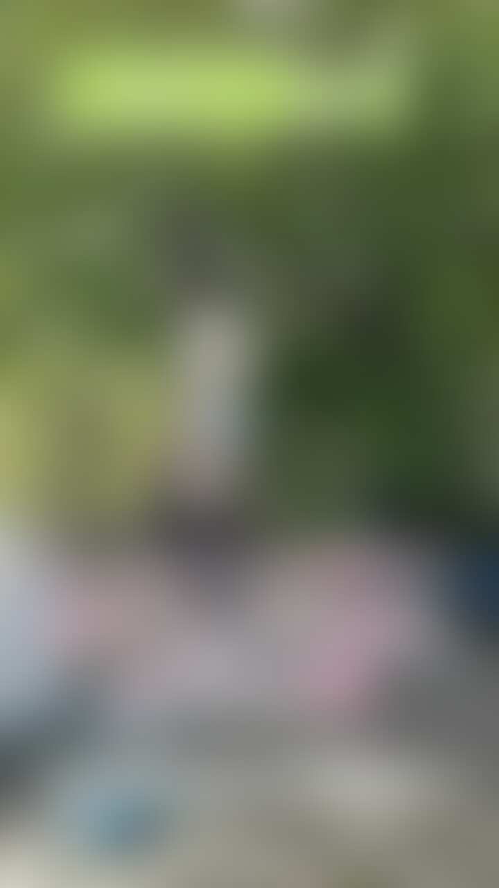 🐻動画プランさま専用🐻 sample 1