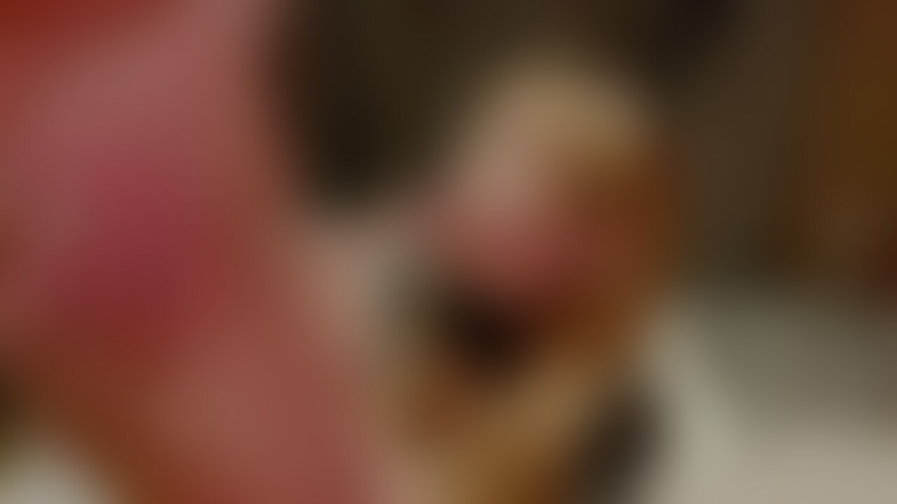 ハーフのドM美女に顔射してみました。
可愛い顔を精子で汚す事にハマってしまいましたので責任を取ってもらうためにこのあと挿入してます。 (2/2)
