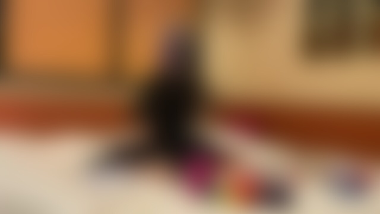 相棒ユニコーン🦄🦄🦄 (2/2)