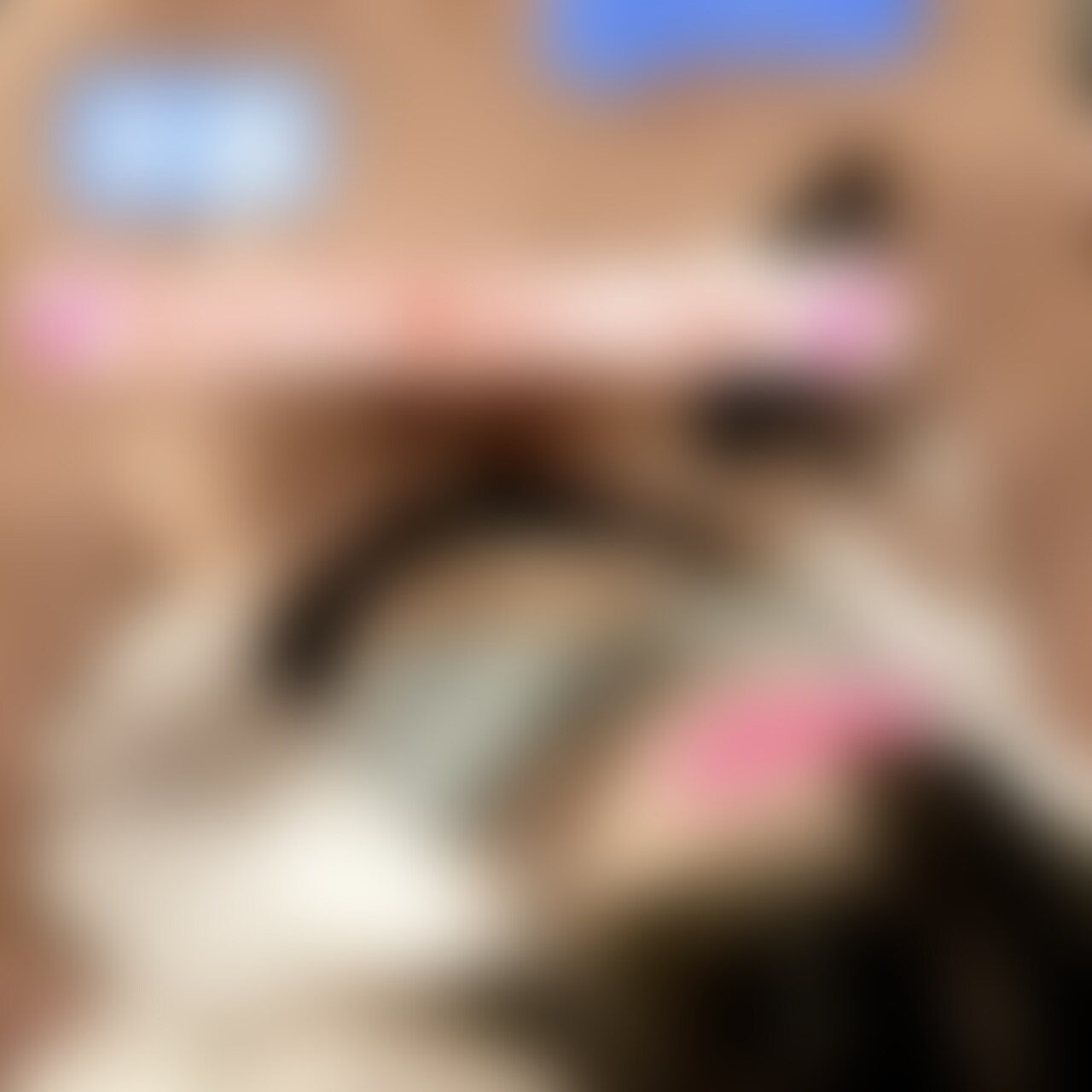 【💕女の子顔出しver.💕】 sample 1