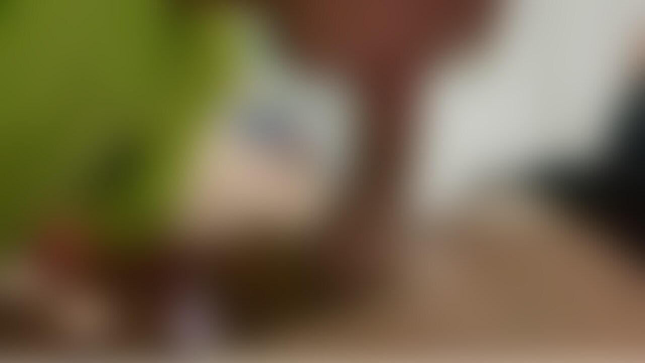 舐められるてるところ sample 1