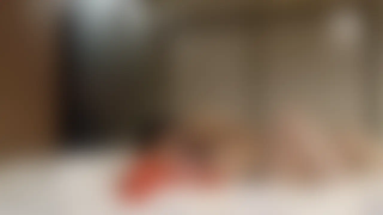痙攣で意識失うほどのおもちゃ攻め!
お泊りで夜と朝しっかりいじめ倒し
ブラッキー大好きな金髪お嬢様ポケモントレーナー1-6
パンツ越しにクリ触って体がビクビクしてます。のっけからこれだと色々楽しみですね?笑
乳首舐めてると気持ちよさそうな吐息。やっぱり右の方が弱いですね。ペロペロま、得たりコリッコリっと舐めたり。クンニのおもちゃと電マで乳首攻め。ずっと声出っ放しです。もちろんクリの方がもっとヤバいよね?
1回止めて再開するだけでもっと感度上がりますね?笑
クンニは最初は焦らすようにしてだんだんペース上げていきます。口にしっかり近づけて攻めたり、足を上げて全面を舐めたり
足をしっかり開いて上からクンニ。脚閉じてクリ逃がせないし困ったね?笑
手も引っ張るん
雄叫びも響いてます。足は無意識にゆらゆら。吸うやつ当てるだけでいい反応。両足を肩に乗せるとひーひー。足もピンとしてます。
中に指入れるだけで声出てて、その上吸うやつもクリ真裏かtら押しながら当てると絶叫と痙攣。自分がどうなっちゃかもう覚えてないくらいじゃない?笑
足めっちゃ広げて反れてるので前面にしっかり当てられます。
もう上げ声になってしまいました。
足で挟むほどしっかり吸われる吸うやつ「あまりもの良さにすぐギブしちゃいました。
バイブ付き吸うやつが抜けたので脚閉じて抜けないようにしてます。引き寄せてヤバい
まだまだアヘ声。ダウンしちゃいました。次は上から追撃ピストンバイブ。G向けに当てたり上から当てたりいろいろしていきます。
すぐ慣れたから吸うやつ。気持ちよすぎて痙攣?れもブラブラ
クリに押し付けるバイブ付き吸うやつ。足を閉じて挟んでお尻揺らして、中とクリしっかり感じてね?持ち上げると「あーアッツアッツ」手を離すと倒れちゃいました。そして体全体でビクビク痙攣。そしてバイブとクリの合わせ技。また意識なくなって無言。それを無理やり覚醒させてあげますね笑
正常位。上から好き未来ですね。上からドスンドスンとしたり小刻みに攻めたり…
雨折ると朝2回しました。後半は大声量 (2/2)