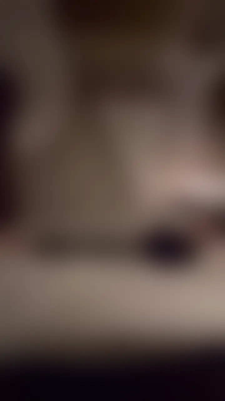 カップルの初セッ◯スを動画に収めてみた。part2
#カップル#リアルカップル#ラブラブ#いちゃいちゃ (2/2)