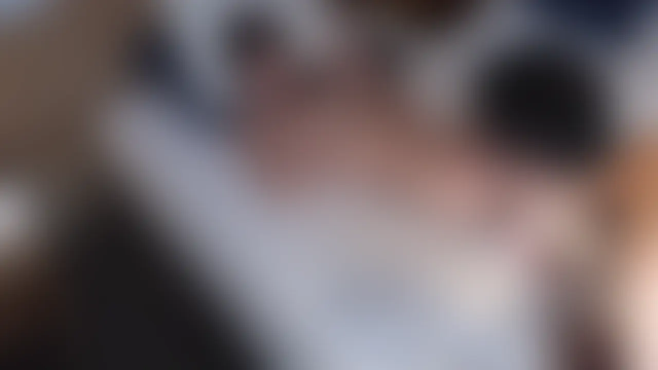 こちらは見放題限定プランになります。 (2/2)