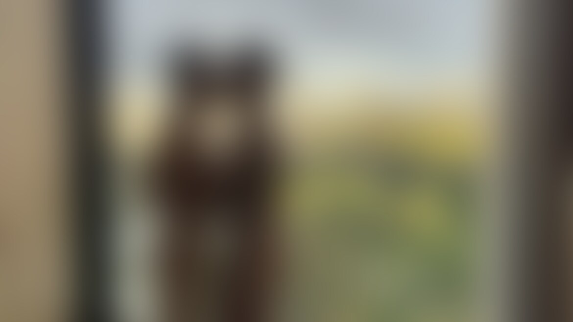 RYUSEI x EX morning xxx! sample 1