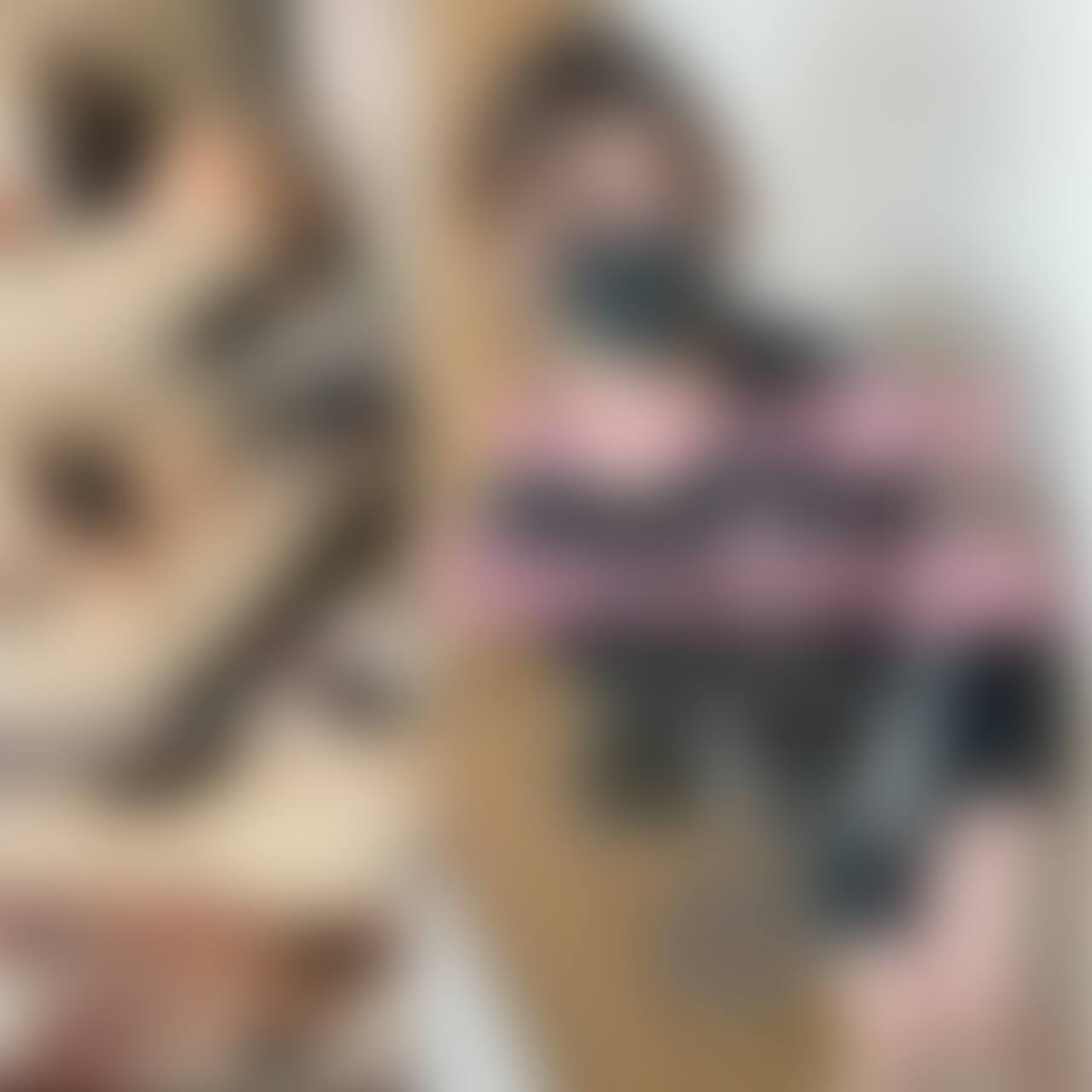 こんばんは♡
実は数日前に彼氏が会社の人に
私とのハメ撮りを見せたことが発覚し
私が激怒し今お別れしてる状態です。
えっちは最高でしたので
元彼との動画をおかずにオナニーしてます😭
今まで普通にえっちしてたのに
お別れしたことによってえっちをしないという
地獄を元彼に思い知らせてやります。
あんなに優しかった彼女が別人に⋯的な🫣
とりあえず元彼の目の前で指オナニー見せつけました笑 (2/2)