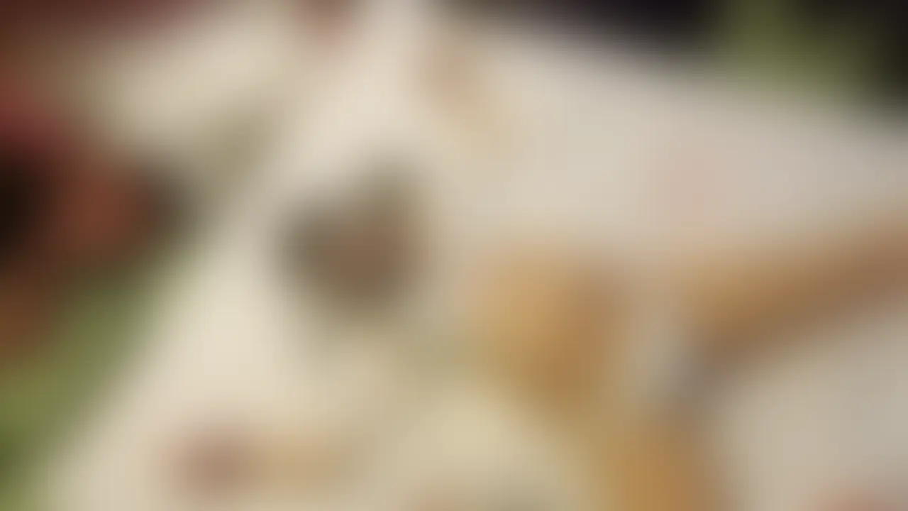 【プラン加入で全素人肉便器閲覧可能】
美巨乳バレー部もかちゃんベッドで痙攣落ち&中出しSM教育
第1弾:https://myfans.jp/posts/197228f0-7916-46a4-a06b-5e36d95eaaab
・ムチムチ美乳Eカップ
・経験人数1(彼氏のみ)
・パイパン
・ピンク乳首
・童顔
・NTR裏垢女子
・ドМだけどイったことがないから壊してほしい
おかしくなるくらいされてみたいらしくベッドに〇束して壊れてもらうことに。
寸止め→連続イキ地獄で痙攣止まらなくなるまでするまで崩壊させてから挿入。
肉棒にオホ声をあげて中イキする変態だったので〇束したままバックでもぶっ壊してあげ、種付け中出しSEX。彼氏クンゴメン。 (2/2)