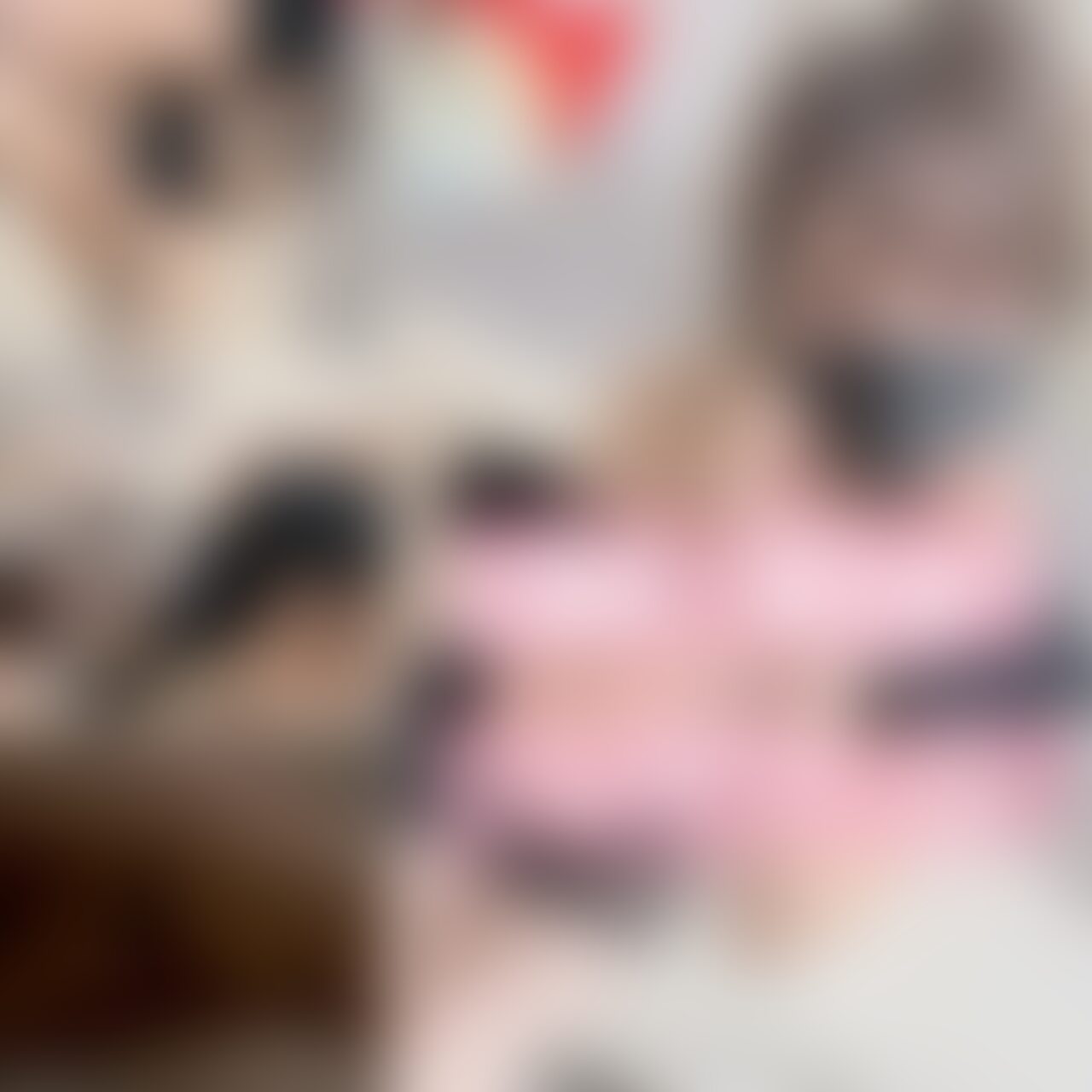 こんばんはー♡
今回はお互い休みだったので、(私は夜から仕事)
動画撮らずも朝からずーっとベッドで
イチャイチャしてました♡
そして夜出勤する為、
準備してて送迎の人ももう来てるのに、
Newドレスに興奮した元彼にえっちなことされました笑
仕事から帰って来てもえっちしたので載せてます♡
てか、子作りし過ぎな笑 (2/2)