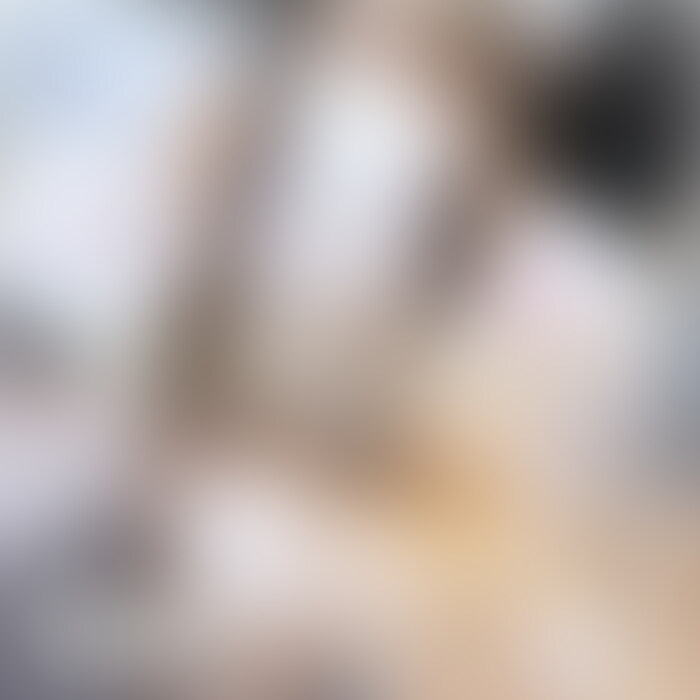 【顔出しバージョン】

こんばんは🐶♡
今週の新作動画アップです！

お待たせしました〜っ、ろこにゃん動画です🐈🤍

段ボールの中で待ってたら
優しいご主人さまに拾ってもらえて
いっぱい可愛がってもらいました🥺♡

おもちゃでいっぱい遊んでもらったり、
おいしい肉棒を食べさせてもらったり…😋❤︎

お返しに素股でいっぱいご奉仕したにゃ〜♪
そしたら段々エスカレートして……❤️‍🔥！！

ろこにゃんとえっちな性活、シてみる🐈🤍？？

今週も見てくださってありがとうございます🐶！ 
［いいね♡］とコメントお待ちしてます🙌


カップル / 素人 / 個人撮影 / おっぱい / ハメ撮り / 人妻 / 巨乳 / フェラ / オナニー / 変態 / 裏垢女子 / パイパン / 美乳 / 中出し / 手コキ / 顔出し / エロ / 夫婦 / 流出 / イチャイチャ (2/2)