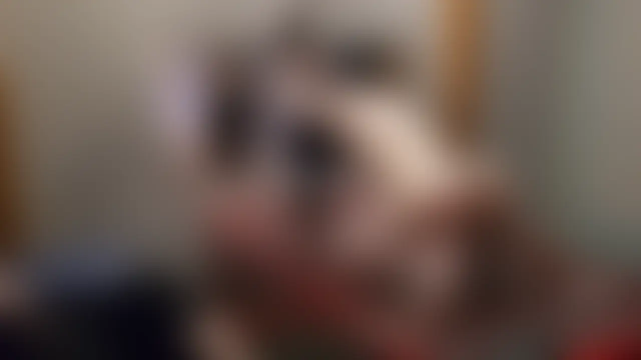 ☆鞭
ゆいのだいすきな鞭を使っていただいて
たのしんでいただきました
痛かったけど
使っていただけてうれしいです
たのしんでいただけるように
これからもがんばります
ありがとうございました
#SM#M女#ドM#ドS#マゾ#お尻
#鞭#スパンキング#バラ鞭#一本鞭 (2/2)
