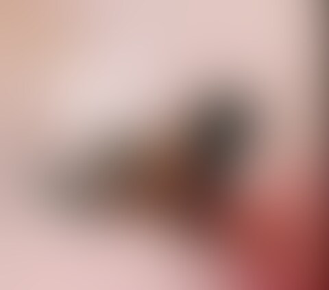 ねっとり69👅 (2/2)
