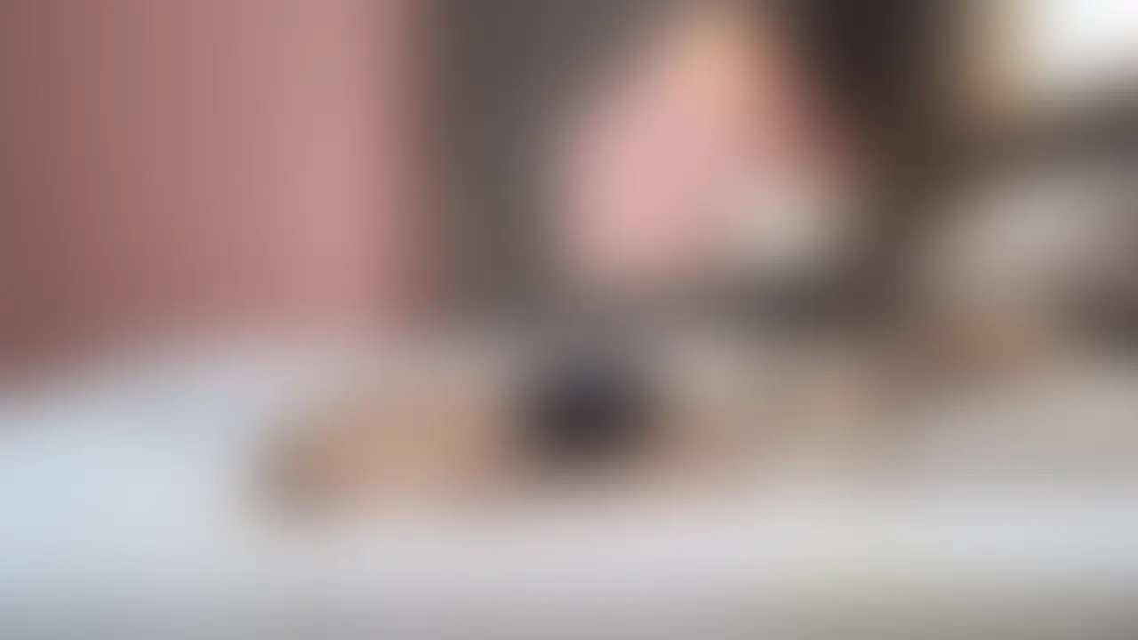 ルーズソックス×ギャルの圧倒的誘惑🔥
P活でおじさんの臭チンを食らう！！！

強気ギャルが大人の男性を翻弄しながら、激しく求め合う濃密プレイ…💋
ぷりぷりヒップと挑発的な視線にドキドキが止まらない！
ラストはお互いの限界を超えるほどにイキまくる…💦 (2/2)