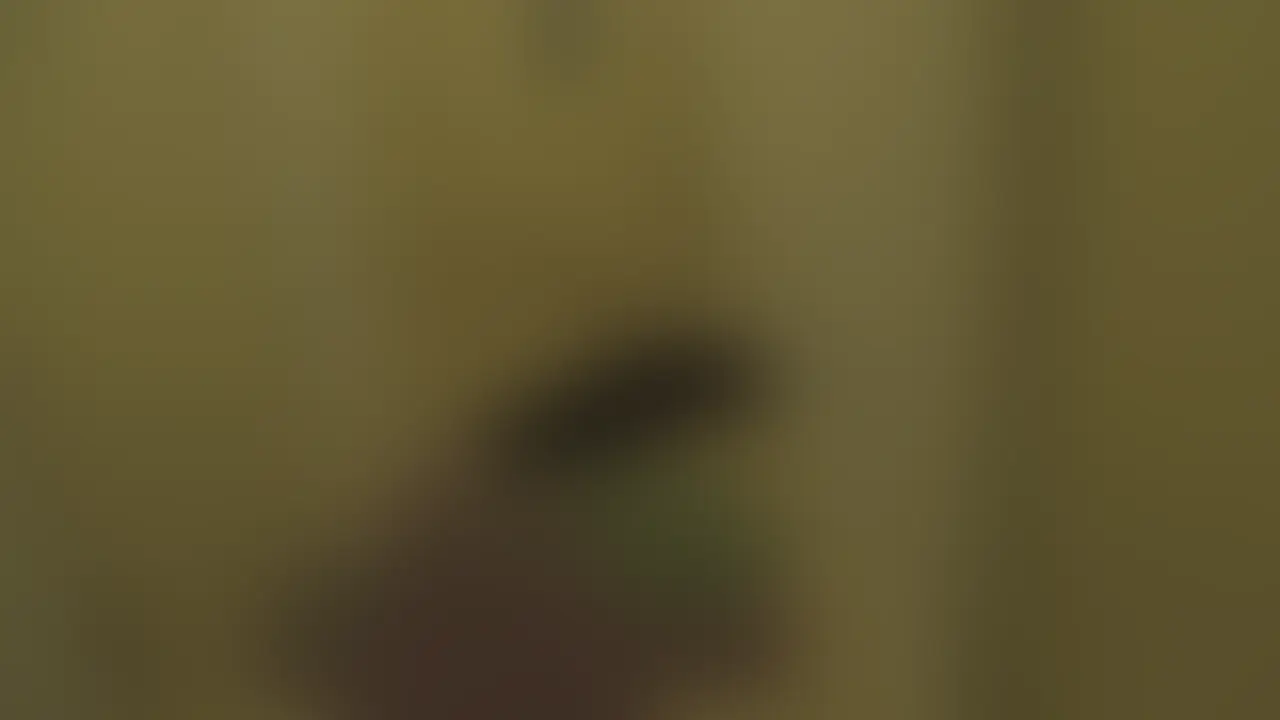 #010 りえる
今回はりえるさんにまた依頼。
前回は完璧な家事代行でしたが、今日は少し違った様子。
彼女が洗濯物のパンツの匂いを嗅ぎながらオナニーしてたのが発覚!
驚きつつも笑ってそのまま誘導。恥ずかしそうに反応する姿は最高です。。
りえるさんの欲求不満解消のため逆にお手伝い(笑)
スレンダーボディを堪能してたらマンコはぐっちょぐちょ。
電マで自分で責めちゃってるエッチな痴女っぷりにそのままイカせてあげました。
照れながらもご満悦の表情を見せるりえるさん。生ハメ開始♥
乳首をビンビンに勃たせながら喘ぎまくったり、自分でも腰を動かしてる姿が超エロ。。
イク度に締まりが良くなって気持ちよすぎて何度も何度も腰振り。
いつの間にか中出ししてました(笑) (2/2)