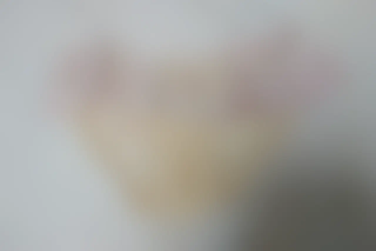Rinaの秘密(神戸の女子大生🌃)「今日のリナのパンツ🥰」の投稿サムネイル