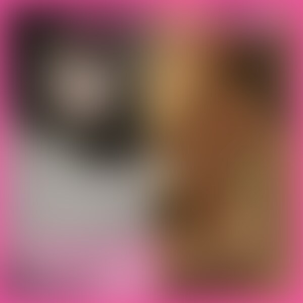 どうも、にもかです。
今回は、長身スタイル抜群パリピJD!スレンダー美女をハメ撮りした映像を公開します!
ナンパで引っ掛けた子と何回リピしていましたが、なんでかこの日は家に搬送できたので流れで撮らせてもらえました。
長身の女の子でスタイルは抜群なんですが、お尻がものすごくデカくてきれいな子です。
バック・騎乗位・正常位を一通り堪能したら中出し。 (2/2)