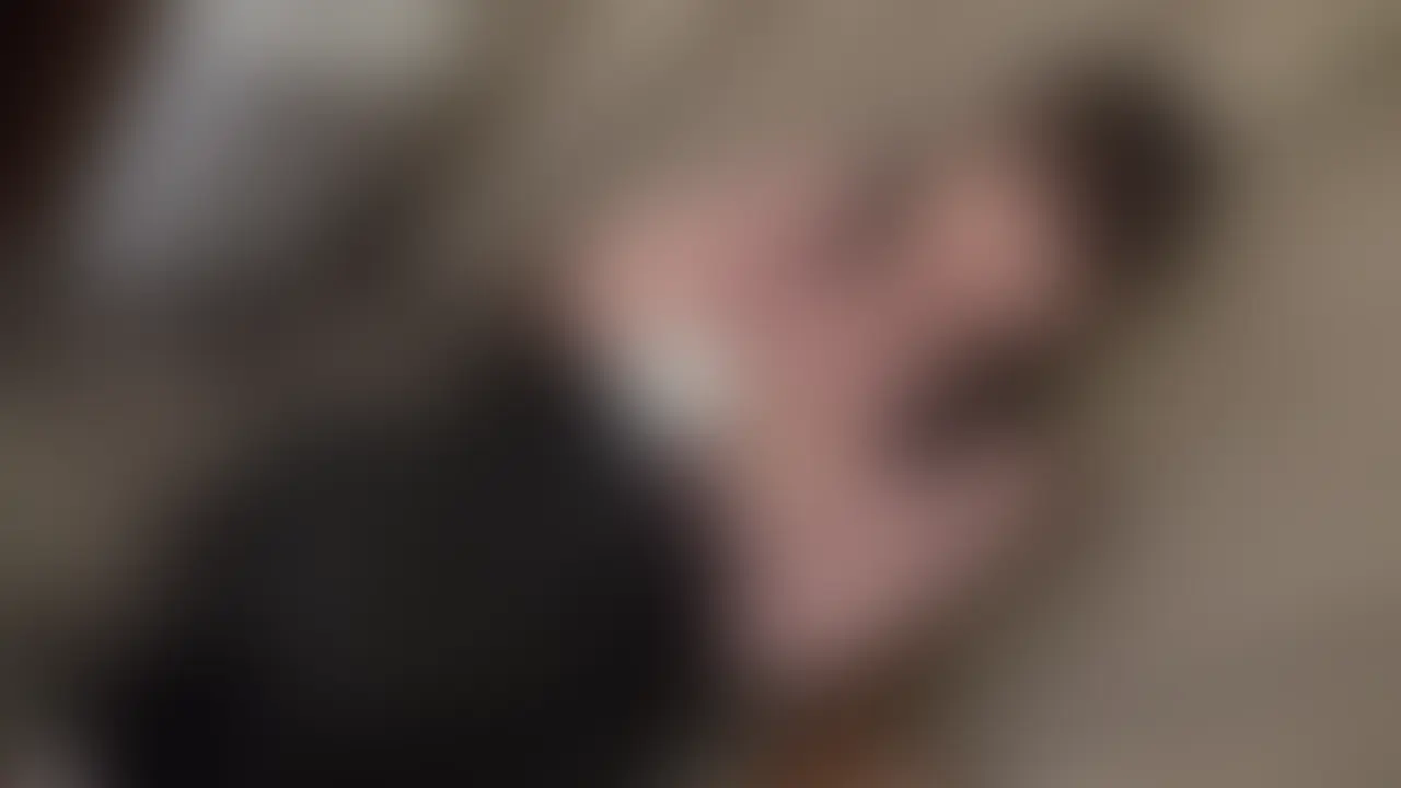 限定特別価格 [PR]【♡いいね】と【保存】を押してから動画をご覧頂くと…🎁✨ https://myfans.jp/posts/4202ff70-64ae-4a95-b523-3356e8bbe3ec 素人ならではのエロさを感じて下さい。 いつでも募集してますのでＤＭ下さい。 ＃素人 ＃ハメ撮り ＃個撮 ＃フェラ ＃騎乗位 ＃美人 #美尻 #高画質428 (2/2)