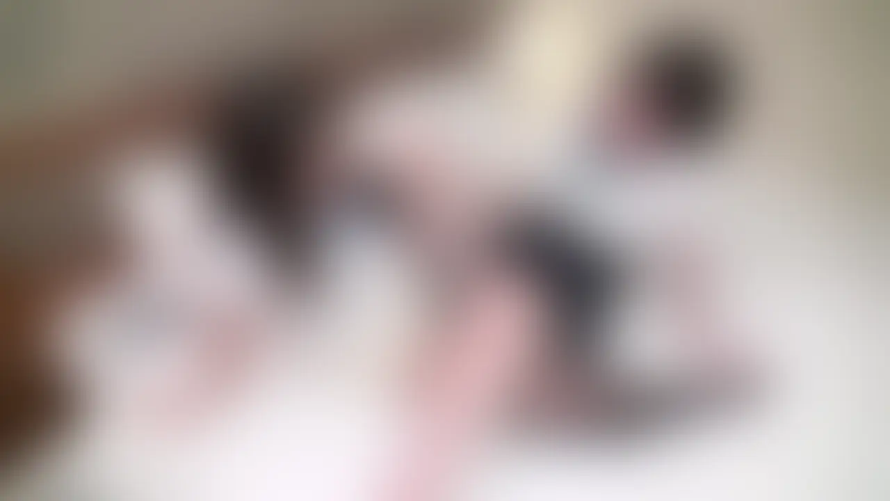 限定特別価格 [PR]【♡いいね】と【保存】を押してから動画をご覧頂くと…🎁✨ https://myfans.jp/posts/4202ff70-64ae-4a95-b523-3356e8bbe3ec 素人ならではのエロさを感じて下さい。 いつでも募集してますのでＤＭ下さい。 ＃素人 ＃ハメ撮り ＃個撮 ＃フェラ ＃騎乗位 ＃美人 #美尻 #高画質448 (2/2)