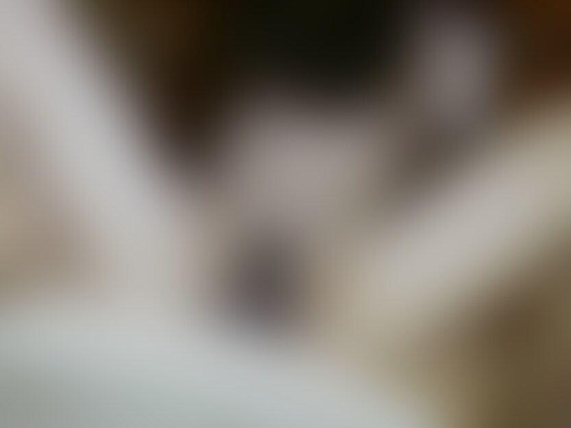 初めてのハメ撮りで恥ずかしいと言いながら感じまくるミエちゃん。剛毛がマン汁まみれになるくらい感じてます。 (2/2)