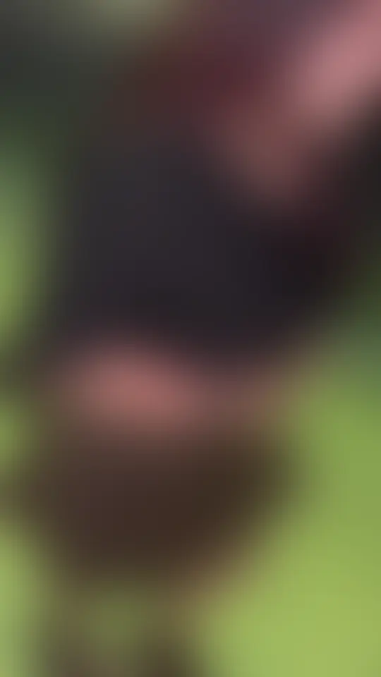 『プラン加入者様動画』
xで人気のIカップ裏垢女子
※本編顔出し (2/2)