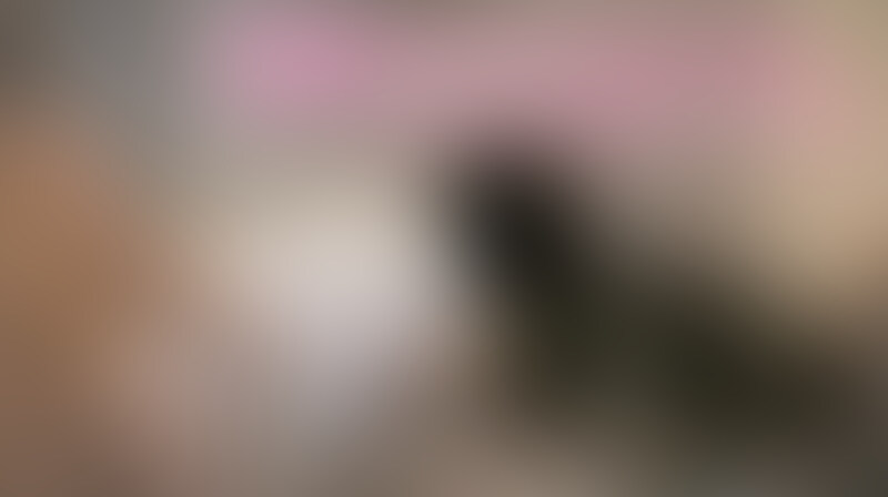 【ファン限定フル動画】🎁
【素人】結婚してまもないカップルの熱いSEX。キッチンで洗い物してる彼女のジーパンのお尻を見てムラムラしてそのままキッチンでフェラやSEXをシてしまうエロいカップル。 (2/2)