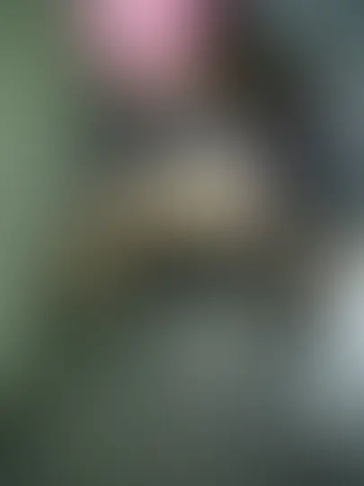 おはるんるん♪