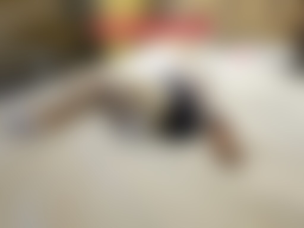 🎀○○○願望女装○○○○○○放置01

ドMの○○○願望女装○○○の乳首や○○○にローターを付け○○○放置しています。(17:07) (2/2)