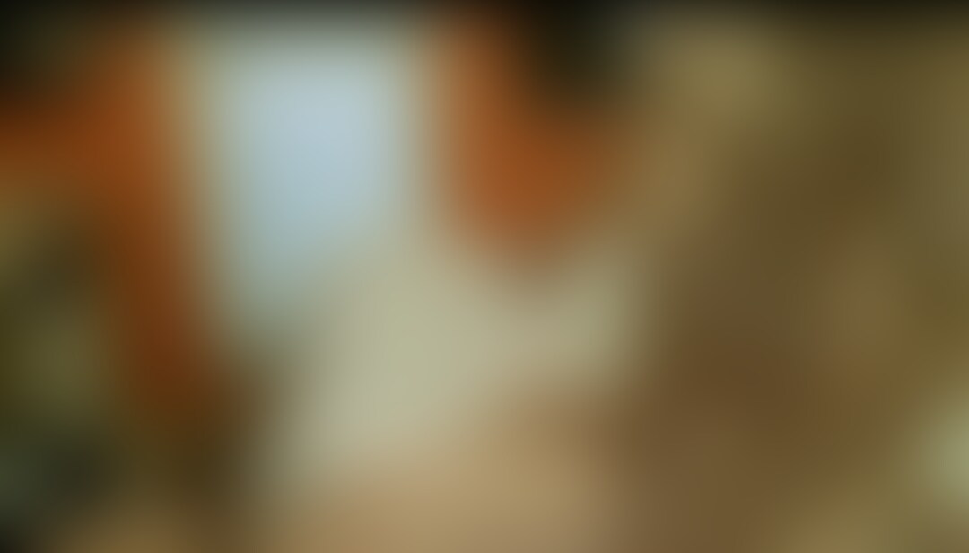 【単品購入希望】動画約8分30秒 sample 1
