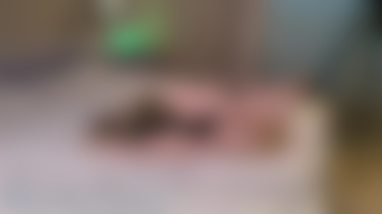 麻袋+○○○束+電マ&せっせ
longばーじょん🐰
アタッチメントのバイブ(?)がサイズ大きくて裂けるかと思ったのは内緒👼 (2/2)