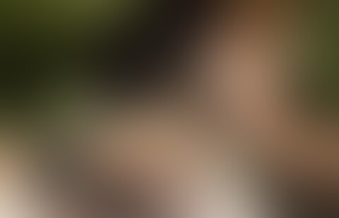 50歳孫がいる熟女「8月20日Twitter感謝バージョン」の投稿サムネイル