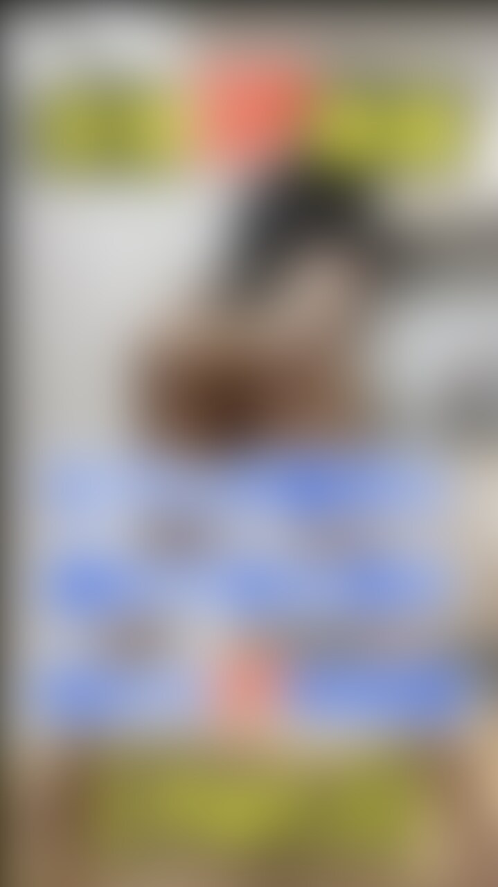 優奈の妄想3P寝取られオナニーシリーズPart.3⋆⸜💗⸝⋆
リクエスト動画有難うなのです🙇♀️
目隠しM字開脚の電マで見られている事に興奮した私は激しくイッてしまい(,,> <,,)テレ
グッタリしている私のお口にチンポをブチ込まれたんですけどセフレのチンポだと思って一生懸命臭いチンポにご奉仕して💗
でも実はセフレが連れて来た浮浪者で、なんとお口の中で中出しされてしまいました(> <)💦
セフレだと思い込んでるので、そのまんま立ちバックで後ろからチンポをブチ込んで欲しくて自分でオマンコを広げて…
↑↑↑
Part.3はこんなストーリーになってますよー🎥
Part.4も楽しみにしててね(^_-)-☆ (2/2)