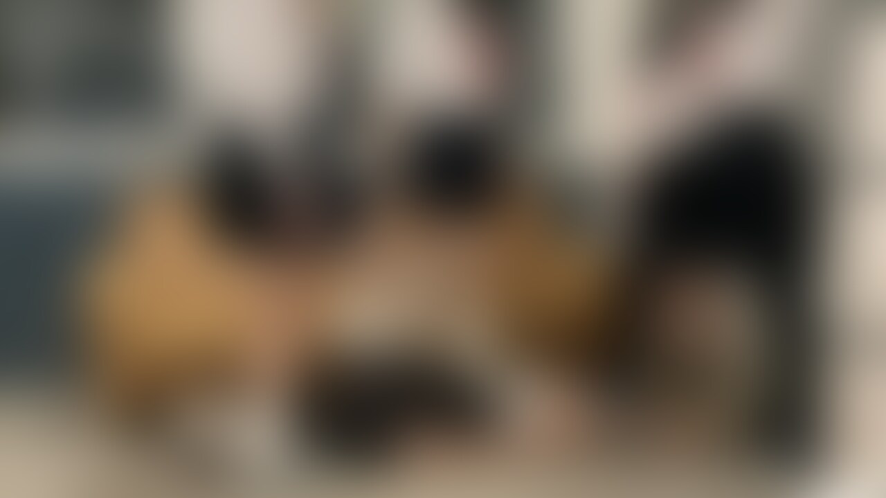 《５Pみんなでふみふみ》

適当に4人で踏んだりしてるやつ〜👣

あみはソファーに座って携帯で撮りながら顔踏んだりしてる😂
目元全開で出てるよ👀w

後声加工も緩めにしてみた❗️ (2/2)