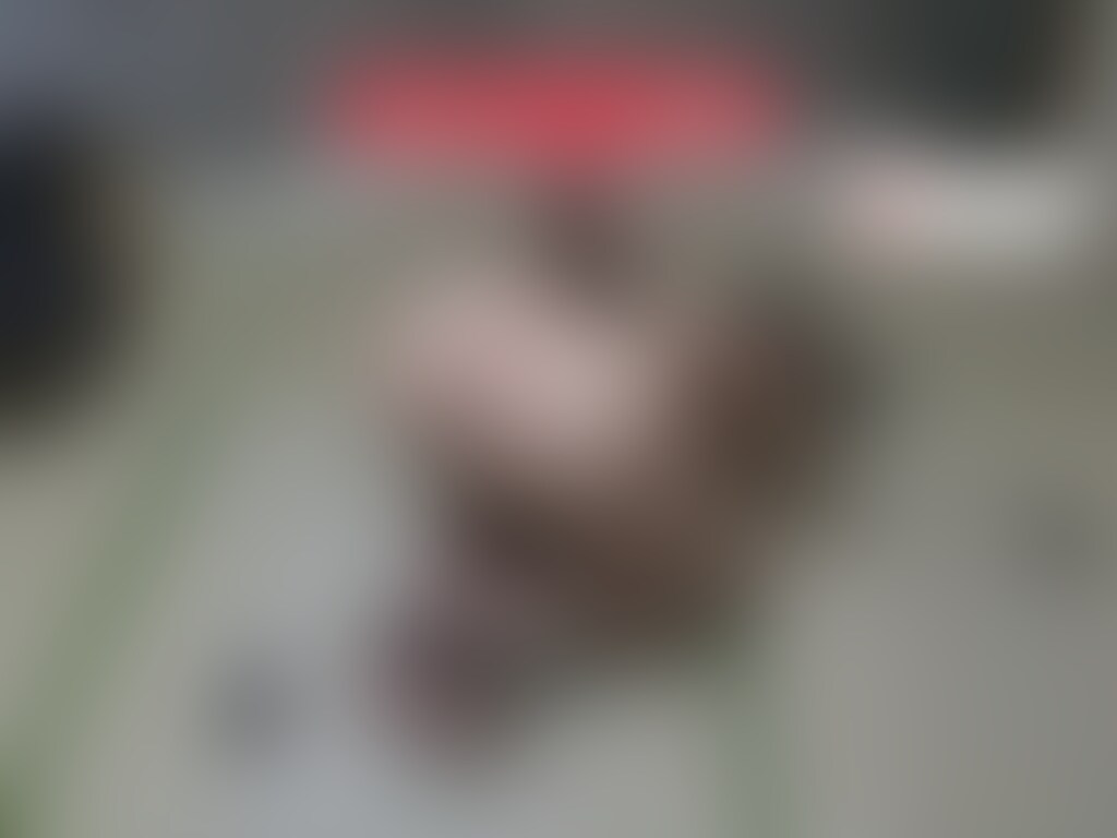🎀女装子ロウソク○○○

ドM女装子をロウソクで○○○している動画です。(16:20) (2/2)