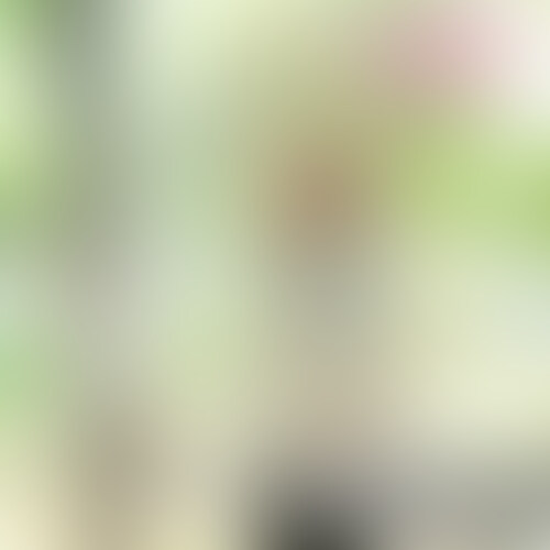 ◆あかりちゃん(20) ひきこもり動画配信者/ゲーマー
本編はこちらから↓
https://myfans.jp/posts/432b8457-e570-45da-8d8b-46705a6e64c2
無料で見るならこちら↓
https://myfans.jp/posts/b6bfd3a7-692e-4ac8-bd0a-21058d96fd3f
ふらっとフェラだけ見たいなら↓
https://myfans.jp/posts/ada1ae7d-5b48-4ddf-a56a-d09d1f0a04da
ふらっとハメてるシーンだけ見たいなら↓
https://myfans.jp/posts/da2fc90f-9bd2-4482-a9ce-a91525e5ea17
ゲーム大好きでオタク、自称陰キャの美少女です。
普段日の光を浴びないお肌は真っ白つるつる!
細く華奢ながら、腹筋もしっかりと感じるパーフェクトなスタイルは最高峰です。
ほぼスッピンなナチュラルメイクは、素材が良いからこその美貌ですね。
自然体で自由で、ふりまわされるのたまらない気持ちになりますが
猫みたいにスリスリすり寄って甘えてくる仕草はめちゃくちゃかわいくてヤバイです。
しかも敏感すぎる身体は挿れただけでビクビク悶えて軽イキ、、、
スリムな身体をバッタンバッタン暴れさせてイキまくってて、エロすぎます!!
~各種プランの案内~
【全部見れる】🐱にゃんすたプラン【超お得】・・・中出しナックルズ・超時空夢幻カメコ・スタミナ二郎
全てのアカウントの全ての動画が閲覧可能💓
さまざまなジャンルでシコリライフのQOLを上げていきたい方にお勧め!
📸超時空夢幻カメコプラン・・・コスプレに特化したプラン!秘密の個人撮影会の様子を公開します。
こちらのプランに参加することで『超時空カメコ』作品のみ見放題で見ることが出来ます。
🤝中出しナックルズαプラン・・・乱交!乱交!乱交!乱交といえばKEN率いる愉快な仲間が作り上げる乱交ハメ撮りクリエイター集団の集大成!
こちらのプランに参加することで『中出しナックルズα』作品のみ見放題でみることが出来ます。
🍜スタミナ二郎プラン・・・ナンパ・いちゃいちゃ・話題のSNSの人を中心にハメ撮り動画を公開中!
こちらのプランに参加することで『スタミナ二郎』作品のみ見放題でみることが出来ます。
❤️🐈⬛ふらっとハメハメプラン🐈⬛❤️・・・ふらっと、ハメてる部分だけを見たい方にお勧め!
全作品のハメてる部分だけ見放題でみることが可能です🤭
😽😽ふらっとぺろぺろプラン😽😽・・・ふらっと、ぺろぺろしてる部分だけを見たい方にお勧め!
全作品のぺろぺろしてる部分だけ見放題でみることが可能です🤭
🐟無料えろちゅーる🐟・・・最長20分の動画が無料で見れます(/・ω・)/
とりあえずこのプランに入って様子を伺うもヨシ (2/2)