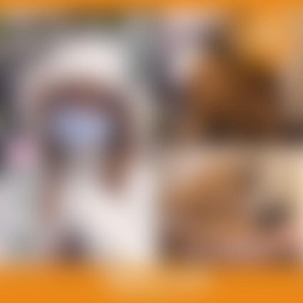♥可愛い顔してすんごいハメ潮吹く美女♥
※単品購入について※
公開から7日間は50%OFFで購入可能です。
⇒それ以降は定価になります。
名前:なつき
年齢:22歳
職業:大学4年生(就活中)。保育学科。
性格:テンション高めで元気いっぱい♪とにかくエネルギッシュですw
**:空手と剣道
彼氏:いない
性処理:電マでオナニー♥
バスト:Eカップ
性感帯:内もも、クリトリス
マン毛:ナチュラル
ハメ潮:4回!!!! (2/2)