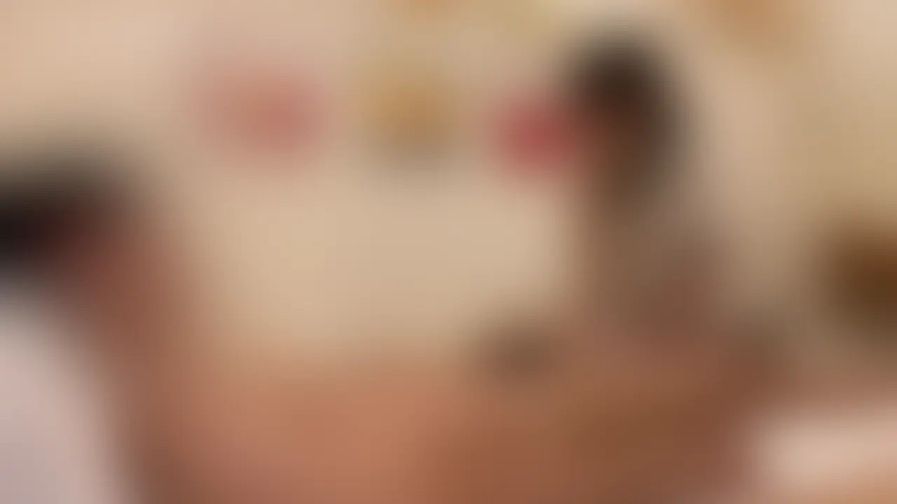 六本木メンズエステ・オイル手コキ・ももコキコース【長濱瑛菜(23歳)21回目】
六本木にある45分12,000円のメンズエステで長濱瑛菜(ながはまえな)さんを再度指名!
▼前回の動画
六本木メンズエステ・オイル手コキ・おもちゃ責めコース【長濱瑛菜(23歳)20回目】
今回は過去イチ興奮したと言っても過言ではないかもしれません。
長濱さんにももコキコースをお願いしてきました。「じゃぁ・・・挟んじゃう?」といたずらっぽく笑顔を浮かべる長濱さん、可愛すぎですw
まずは全裸になってもらい「どんなふうに挟みたい?」と聞かれたので四つん這いをリクエスト。
入念に長濱さんのお尻や太ももにオイルを塗りたくって足を閉じてもらいます。そして太ももの間にギンギンになった自分の一物を挿入。
もはや穴に入れているのと遜色ないほどの気持ちよさ、快感が脳天を突き抜けます。夢中で腰を振りながら、覆いかぶさって長濱さんのおっぱいを揉みしだく。次第に興奮しすぎて動きが乱暴になってしまっていますが、長濱さんも雰囲気に飲まれてるのでOKですw
状態を起こして下から突き上げる感じにするとち●こと長濱さんのあそこがいい感じで擦れてお互い気持ちよくなっていきます。長濱さんも息がどんどん荒くなって興奮しているのがわかります。
最後は寝バックの体制でガンガンに突きまくってやりました。自分のオスが開放されたというか、本当に興奮する回でした。 (2/2)